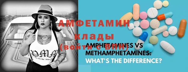 амф Инта