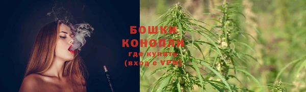 гидра Инсар