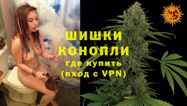меф Каменск-Шахтинский