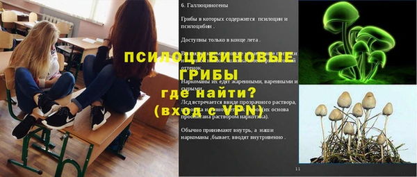 амф Инта