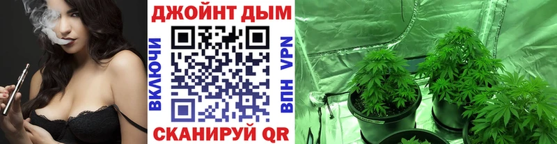 Купить закладки  Дмитров  Марихуана SATIVA & INDICA 
